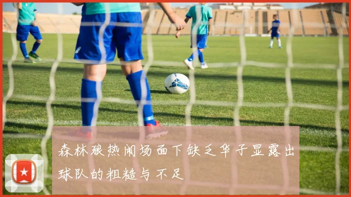 森林狼热闹场面下缺乏华子显露出球队的粗糙与不足