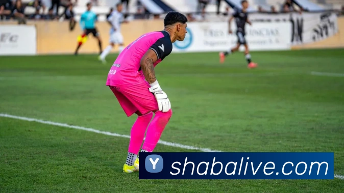 沙巴体育APP 封面图